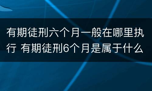 有期徒刑六个月一般在哪里执行 有期徒刑6个月是属于什么