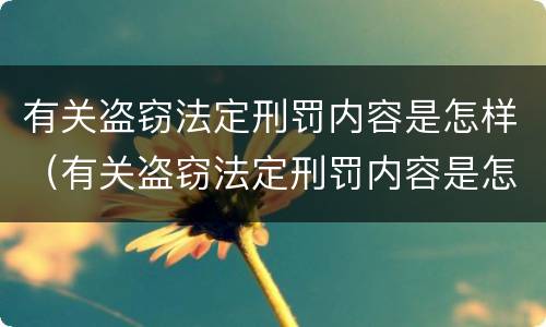 有关盗窃法定刑罚内容是怎样（有关盗窃法定刑罚内容是怎样定义的）