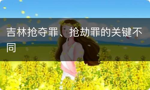 吉林抢夺罪、抢劫罪的关键不同