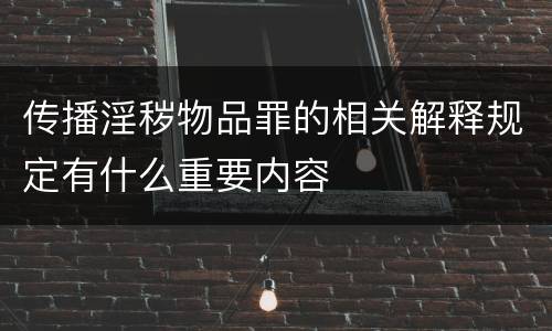 传播淫秽物品罪的相关解释规定有什么重要内容