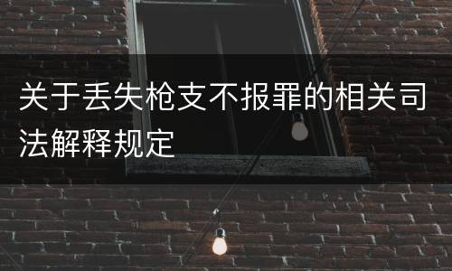 关于丢失枪支不报罪的相关司法解释规定