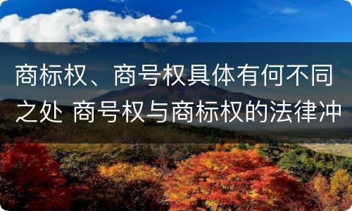 商标权、商号权具体有何不同之处 商号权与商标权的法律冲突与解决