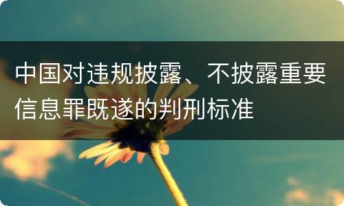 中国对违规披露、不披露重要信息罪既遂的判刑标准