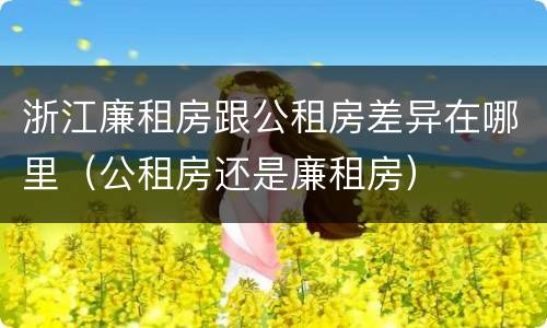 浙江廉租房跟公租房差异在哪里（公租房还是廉租房）