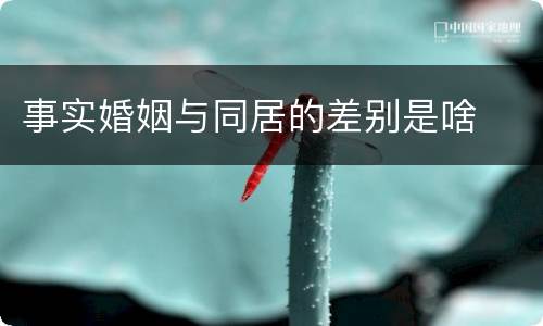 事实婚姻与同居的差别是啥