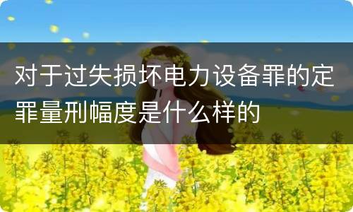 对于过失损坏电力设备罪的定罪量刑幅度是什么样的