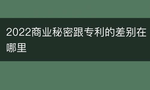 2022商业秘密跟专利的差别在哪里