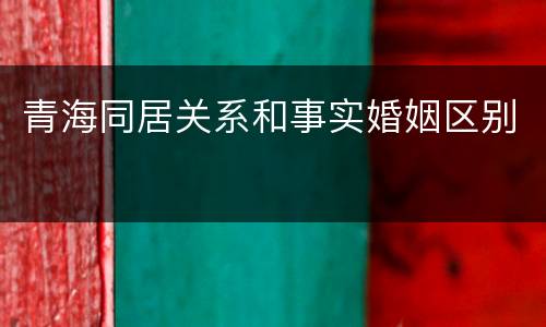 青海同居关系和事实婚姻区别
