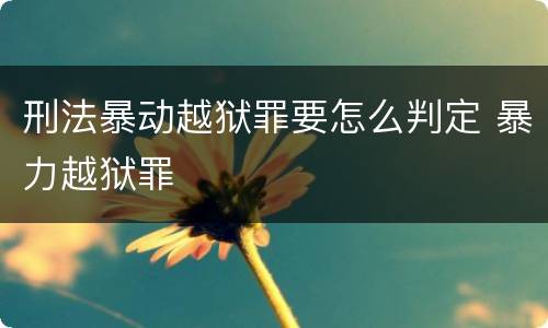刑法暴动越狱罪要怎么判定 暴力越狱罪
