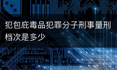犯包庇毒品犯罪分子刑事量刑档次是多少