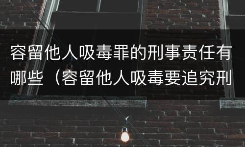 容留他人吸毒罪的刑事责任有哪些（容留他人吸毒要追究刑事责任吗）
