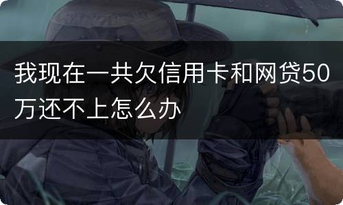 我现在一共欠信用卡和网贷50万还不上怎么办