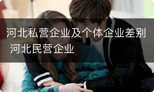 河北私营企业及个体企业差别 河北民营企业