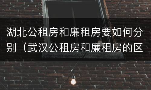 湖北公租房和廉租房要如何分别（武汉公租房和廉租房的区别）