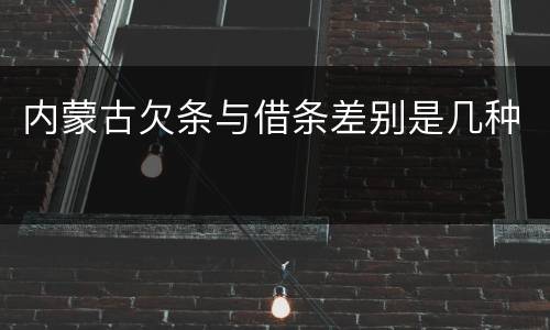 内蒙古欠条与借条差别是几种