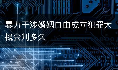 暴力干涉婚姻自由成立犯罪大概会判多久
