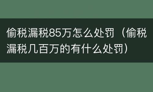 偷税漏税85万怎么处罚（偷税漏税几百万的有什么处罚）