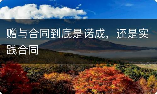 赠与合同到底是诺成，还是实践合同