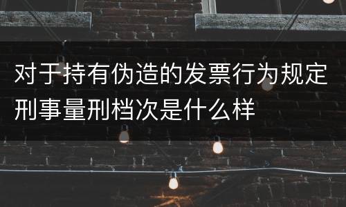 对于持有伪造的发票行为规定刑事量刑档次是什么样