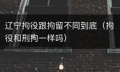 辽宁拘役跟拘留不同到底（拘役和刑拘一样吗）