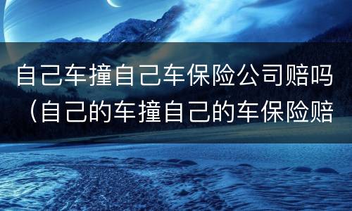 自己车撞自己车保险公司赔吗（自己的车撞自己的车保险赔吗）