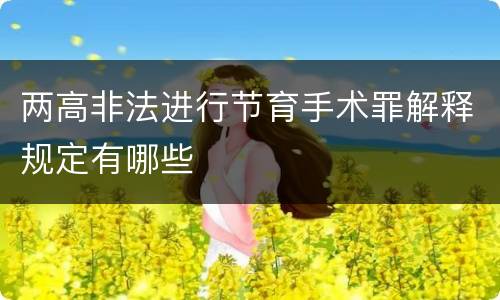 两高非法进行节育手术罪解释规定有哪些