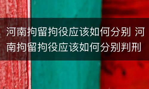 河南拘留拘役应该如何分别 河南拘留拘役应该如何分别判刑