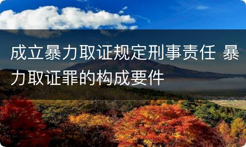 成立暴力取证规定刑事责任 暴力取证罪的构成要件
