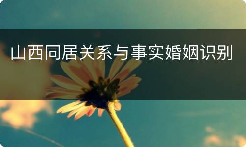 山西同居关系与事实婚姻识别