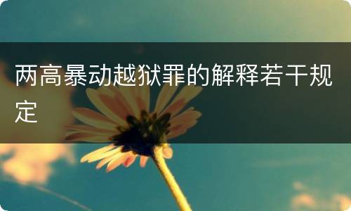 两高暴动越狱罪的解释若干规定