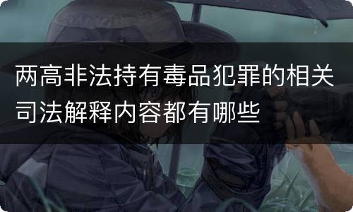 两高非法持有毒品犯罪的相关司法解释内容都有哪些