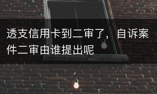 透支信用卡到二审了,自诉案件二审由谁提出呢