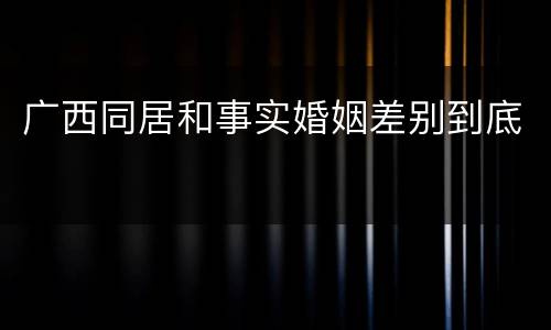 广西同居和事实婚姻差别到底