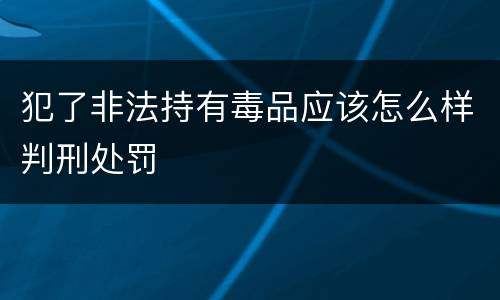 犯了非法持有毒品应该怎么样判刑处罚