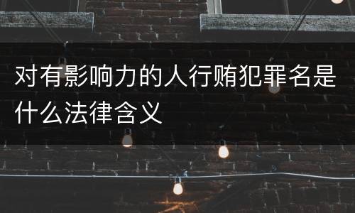 对有影响力的人行贿犯罪名是什么法律含义