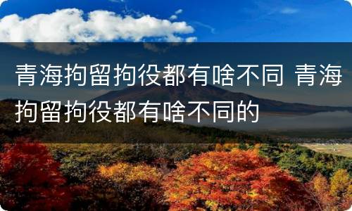 青海拘留拘役都有啥不同 青海拘留拘役都有啥不同的