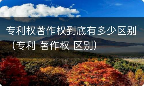 专利权著作权到底有多少区别（专利 著作权 区别）