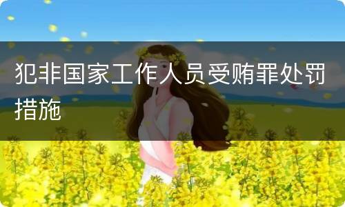 犯非国家工作人员受贿罪处罚措施