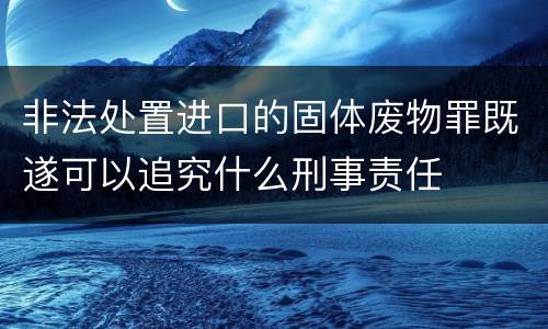 非法处置进口的固体废物罪既遂可以追究什么刑事责任