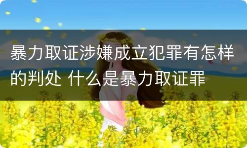 暴力取证涉嫌成立犯罪有怎样的判处 什么是暴力取证罪
