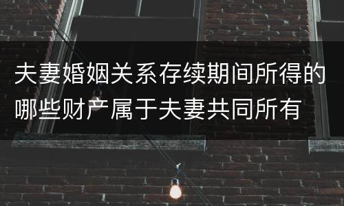 夫妻婚姻关系存续期间所得的哪些财产属于夫妻共同所有