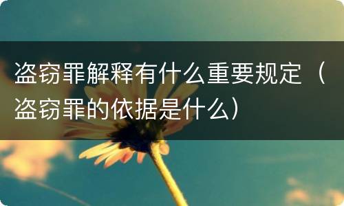 盗窃罪解释有什么重要规定（盗窃罪的依据是什么）