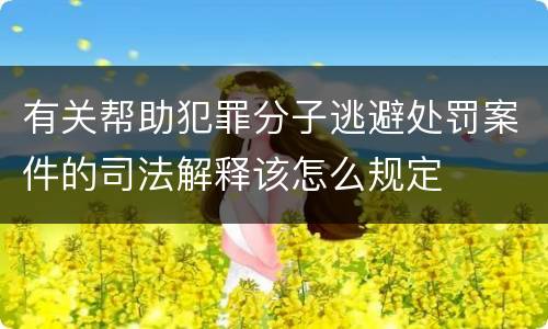 有关帮助犯罪分子逃避处罚案件的司法解释该怎么规定