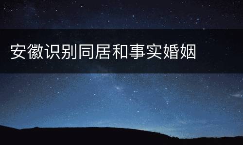 安徽识别同居和事实婚姻