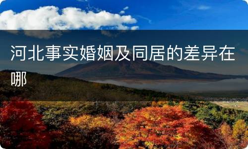 河北事实婚姻及同居的差异在哪