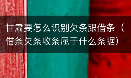 甘肃要怎么识别欠条跟借条（借条欠条收条属于什么条据）