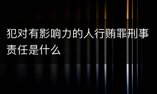 犯对有影响力的人行贿罪刑事责任是什么