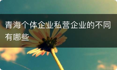 青海个体企业私营企业的不同有哪些
