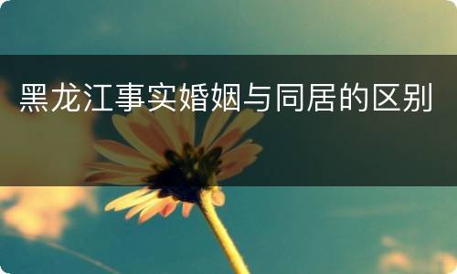 黑龙江事实婚姻与同居的区别