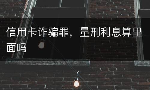 信用卡诈骗罪，量刑利息算里面吗